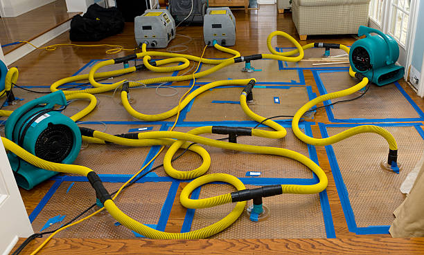Professional Water Extraction technician working in New Castle, CO